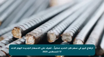 ارتفاع كبير في سعر طن الحديد محلياً.. تعرف على الأسعار الجديدة اليوم الأحد 17 أغسطس 2025